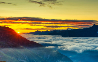 Photo by Carlo Knell on Unsplash